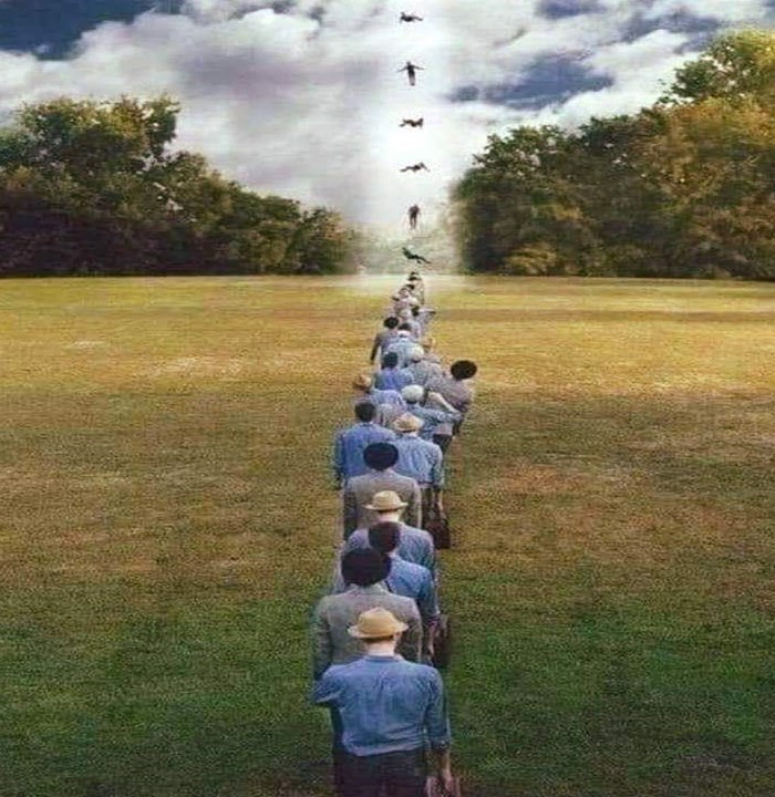 Dr. Brian Weiss nos habla del diseño de la vida 
